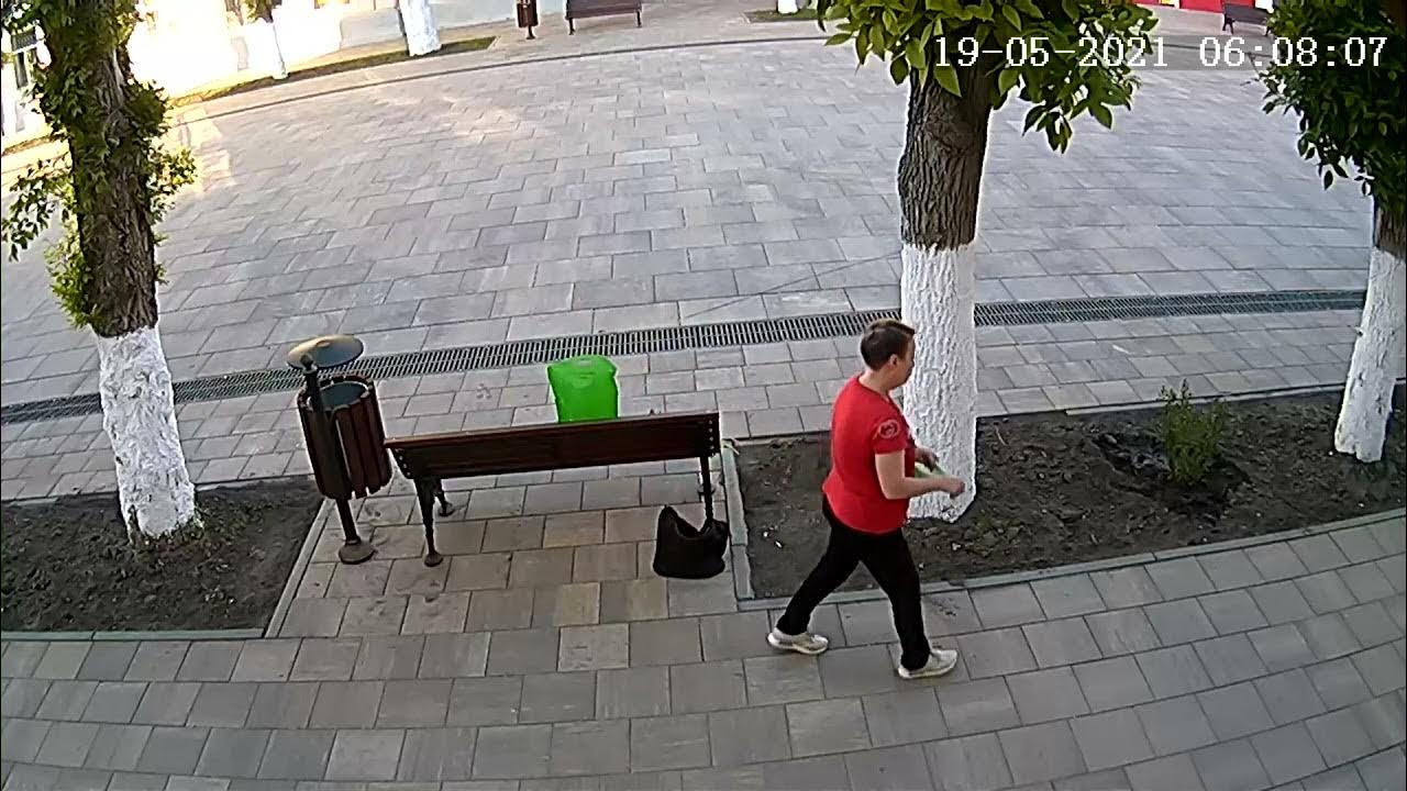 Цветники в скверах. Женщина украла цветы на площади димитрова. Женщина в клумбе. Укради растение. Украли цветы с клумбы.