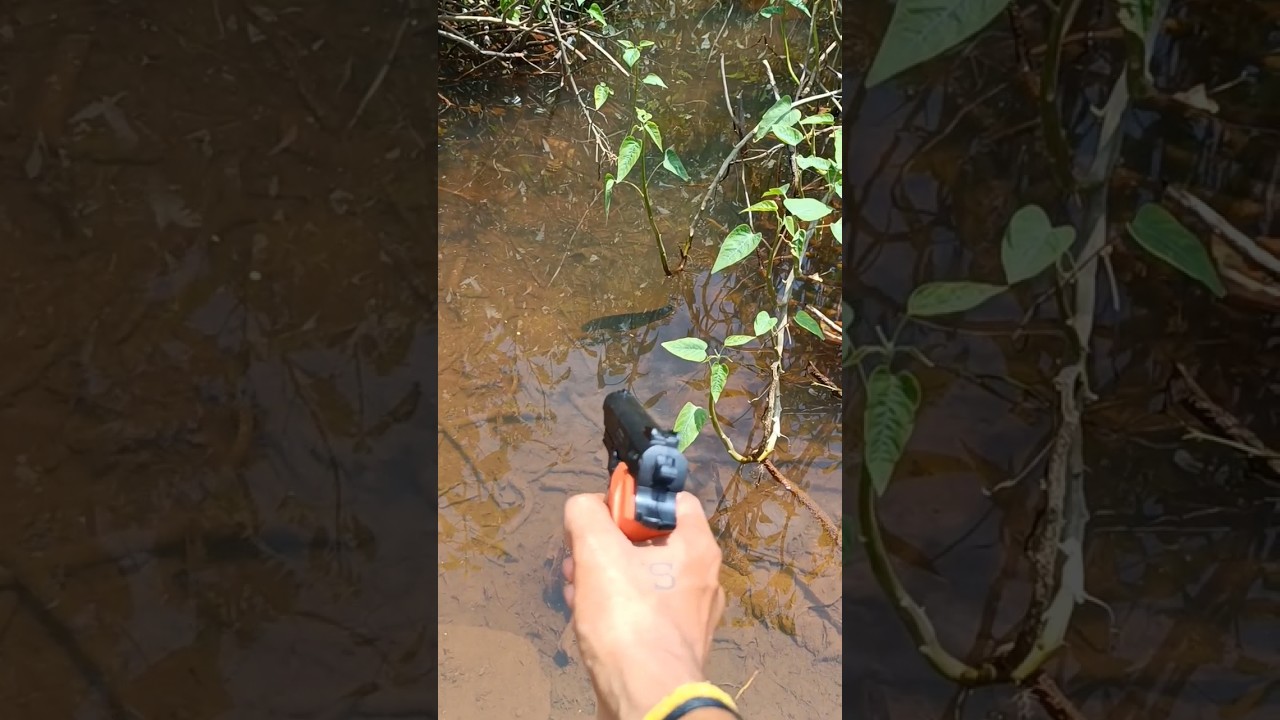 Gun 🔫 shoot black🐠 fish just miss😱😱 