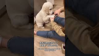 Sıcacık, huzur dolu bir manzara... ✨🐾 #sevimlihayvanlar #patidostları #huzur #evcilhayvan