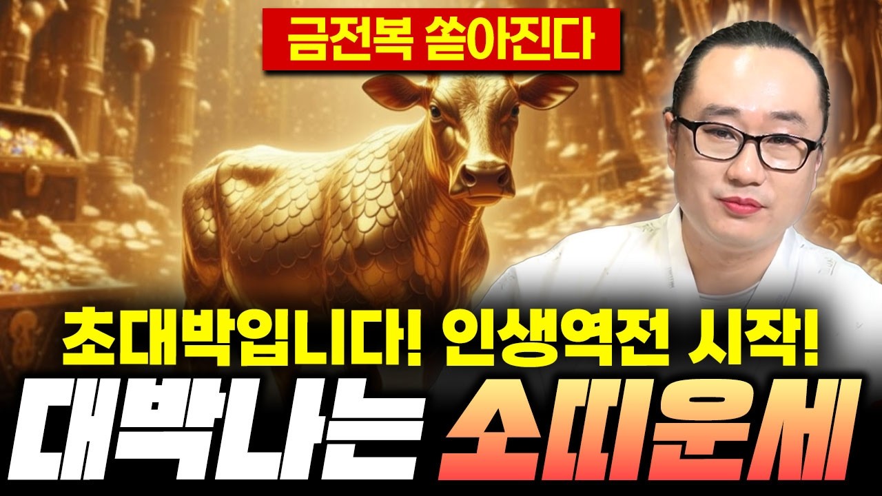 [소띠운세] 2026년 병오년 소띠 운세!! 초대박입니다 인생역전 시작입니다 이제는 고생하지 마세요! 49년생 61년생 73년생 85년생 97년생 소띠운세