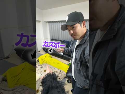 怖い先輩脅かそうとヨギボーに隠れてる後輩が返り討ちに会いました#espoirtribe #ドッキリ #イタズラ #先輩後輩