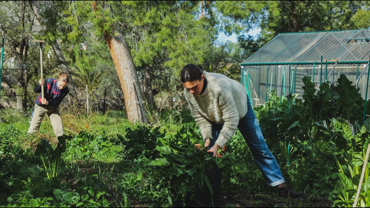 Trabajamos la tierra en vez de ir al gimnasio - Un día real en la finca