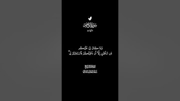 الآية 22 من سورة إبراهيم #الشيخ_سعد_الغامدي