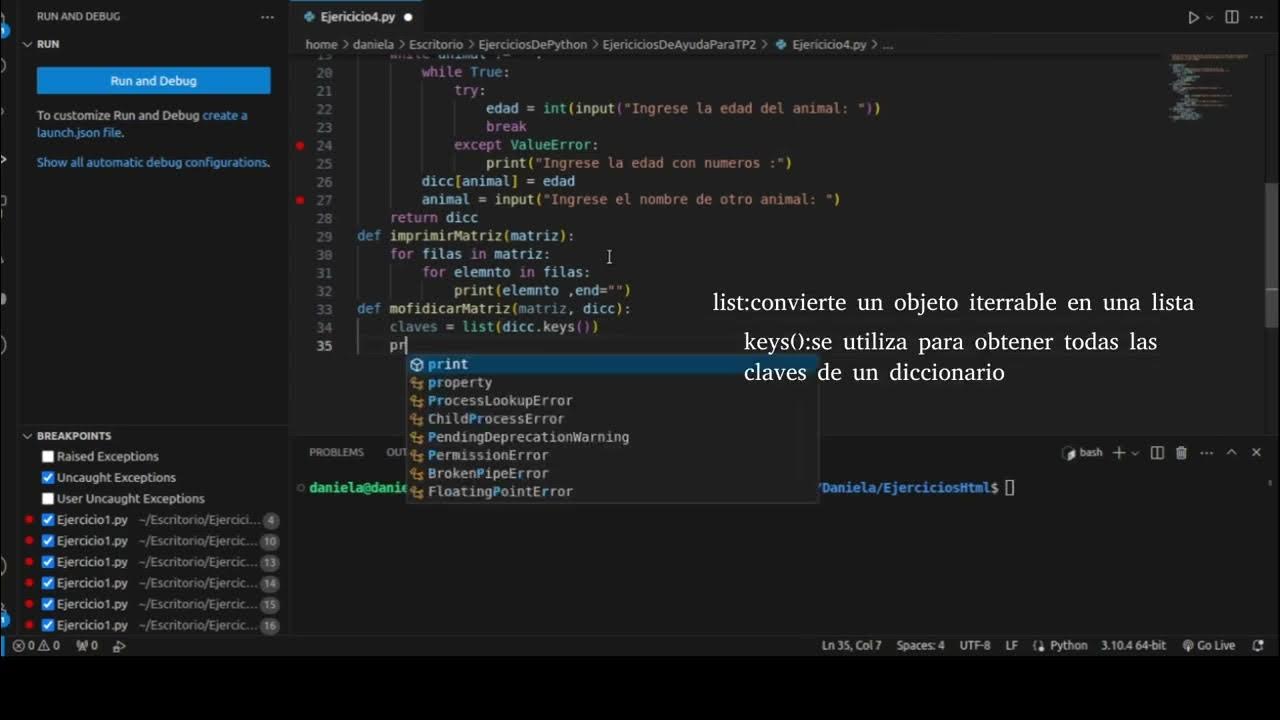 Ejercicio de matriz y diccionario en Python - YouTube