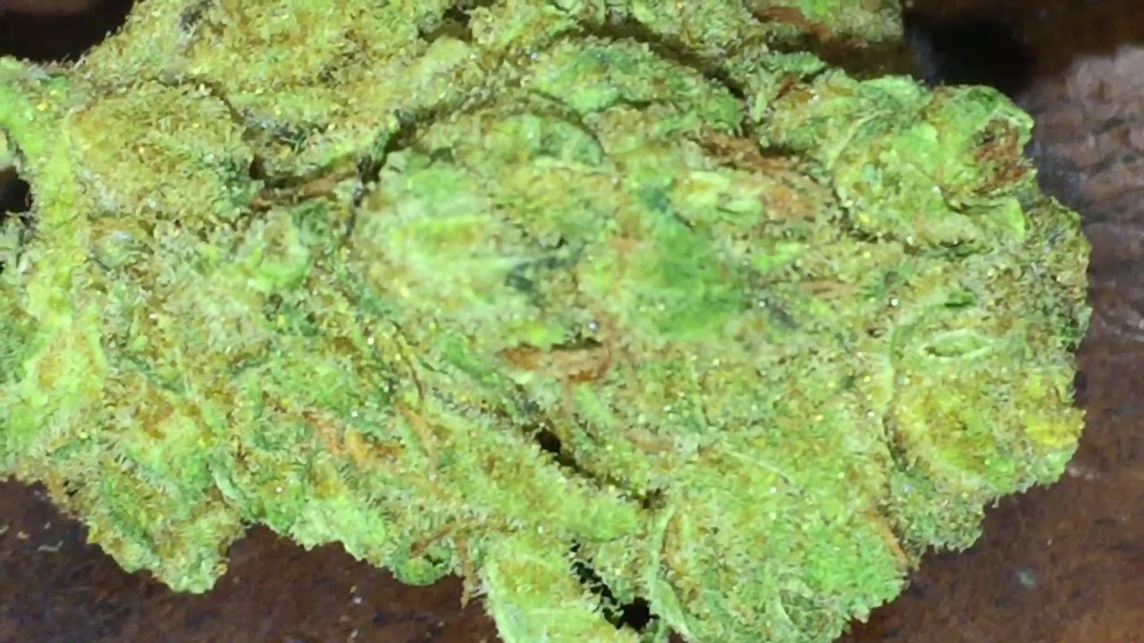 Soleil Bleu Qc Gold Tech cocottes