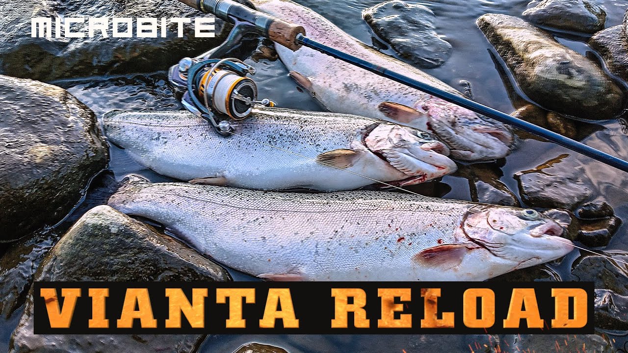 Viannankoski Reload / Sillalta kopsuaa