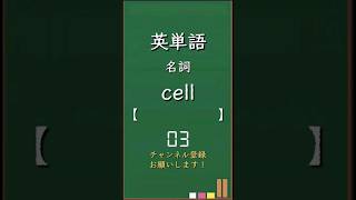 今日の英単語 基礎編2-20 shorts 英単語 英語 暗記 受験 リスニング toeic