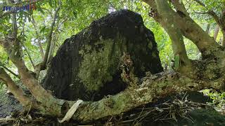 Sungai Watu Gandul Ngluyu Nganjuk Penuh Legenda Sejarah Dan Misteri