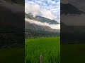 Kashmir patnitop|| patnitop kashmir || viral short