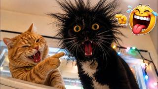 Try Not To Laugh Challenge 2026 😂🐶🐱 | Funniest Naughty Pets Ever | Best Funny Animal Compilation