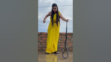 Snake rescue done safely