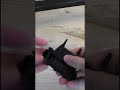Roof bars locks installation on your car retro fit  #marksgarage