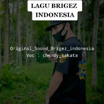 LAGU BRIGEZ INDONESIA VERSI REMIX TERBARU #chendySakata