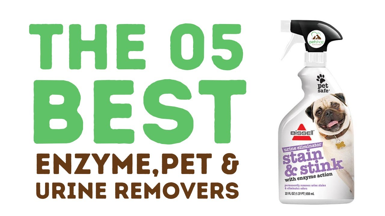 Best Enzyme, Pet Stain & Urine Removers YouTube