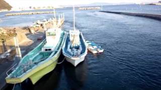 20110311　久里浜　開国橋津波3