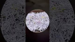 Shredded Paper In The Garden | Upcycling Junk Mail | Easy Compost | Cheap Mulch