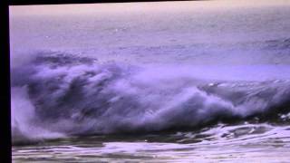 welfare Kyle Maligro Bodyboard