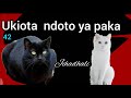 Tafsiri za ndoto,#42, Episode 8, Ndoto wanyama na wadudu, ukiota paka rangi hii, by pastor Regan