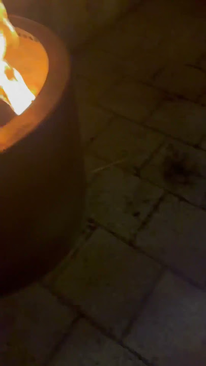 Roasting nuts by the fire #bulldog #cute #music #nuts #roast