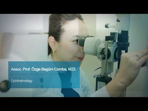 Meet with Professor Özge Begüm Comba