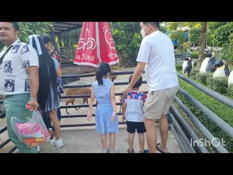 ไดโนเสาร์มาแล้ว#kin and preem - YouTube