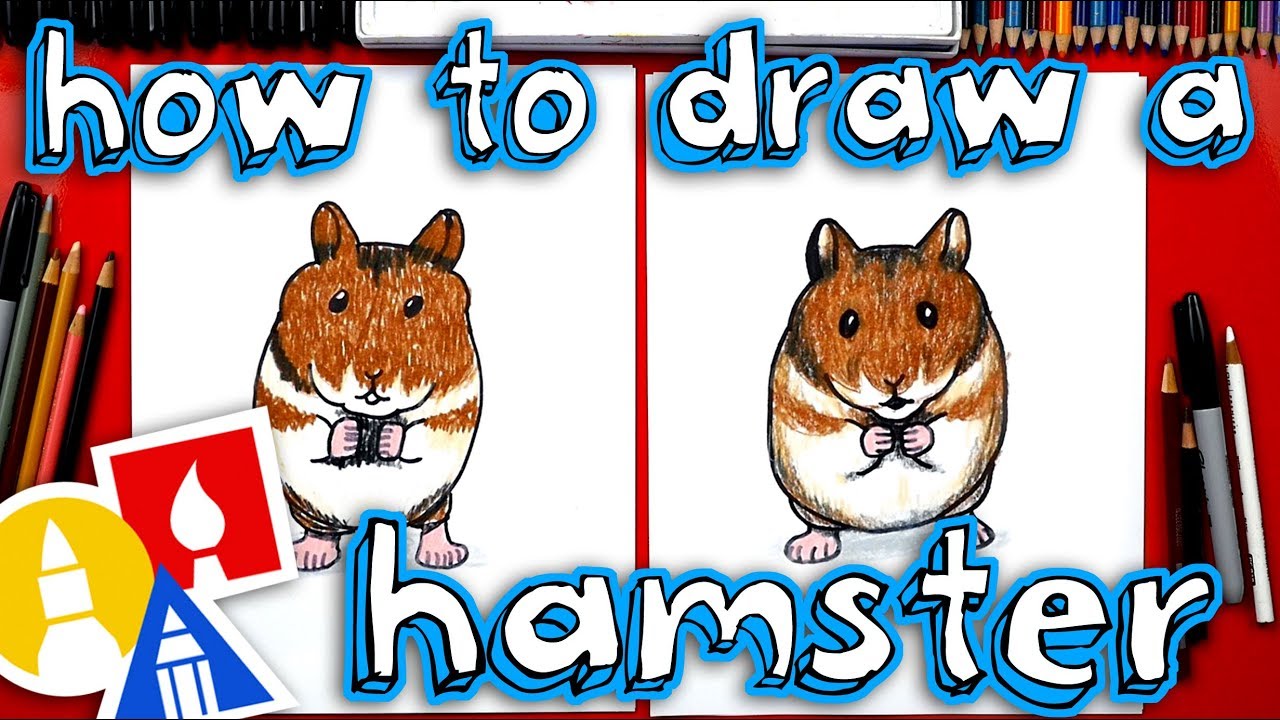 How To Draw A Realistic Hamster - Youtube