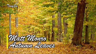 《經典情歌》Autumn Leaves (秋葉) - Matt Monro [中英歌詞] lyrics 4K