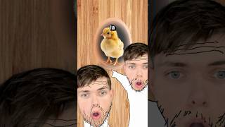 Que Hay Dentro De Un Huevo?