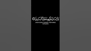 " أَلَمْ تَرَ كَيْفَ فَعَلَ رَبُّكَ بِأَصْحَابِ الْفِيلِ " #سورة_الفيل #احمد_العجمي #quran #قرآن