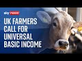 Uk farmers call for universal basic income as they struggle to break even