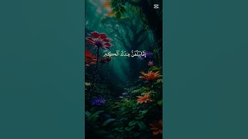 القرآن الكريم ربيع قلوبنا ونور صدورنا