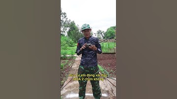 Cách ném mồi hơi đi được xa #caucaloc #huynhvananfishing #snakeheadfishing