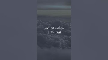 يوم تبدل الأرض غير الأرض القارئ نايف الفيصل من سورة إبراهيم