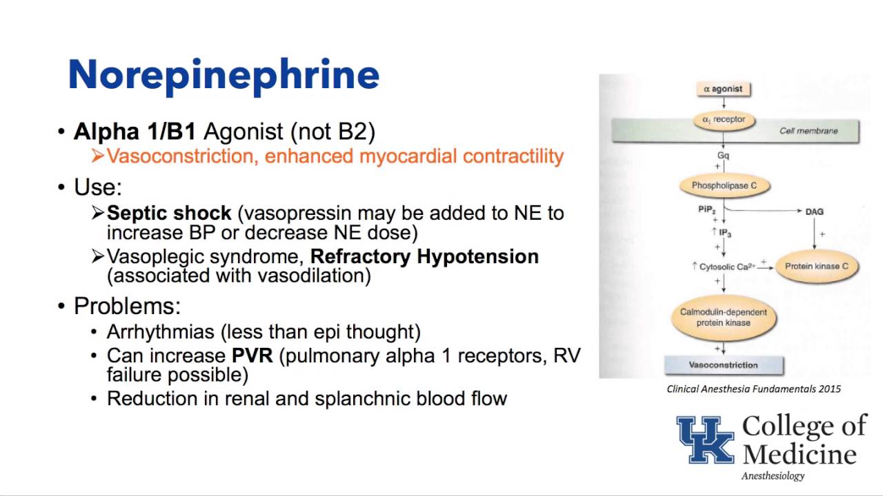 Basic Cardiovascular Pharmacology (Schell)