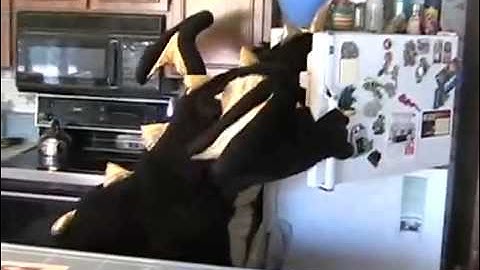 Arduino + Wave Shield in Costume   YouTube