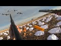 20 Gauge Goose Hunt Using My New Decoys on a Loaded Field!!