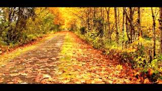 S.V.S. Autumn in Washington.mp4