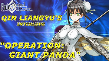 Fate/Grand Order - Qin Liangyu