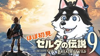 【はじめてのゼルダの伝説】＃9 もはやマップ解放が主な犬の旅【BotW】
