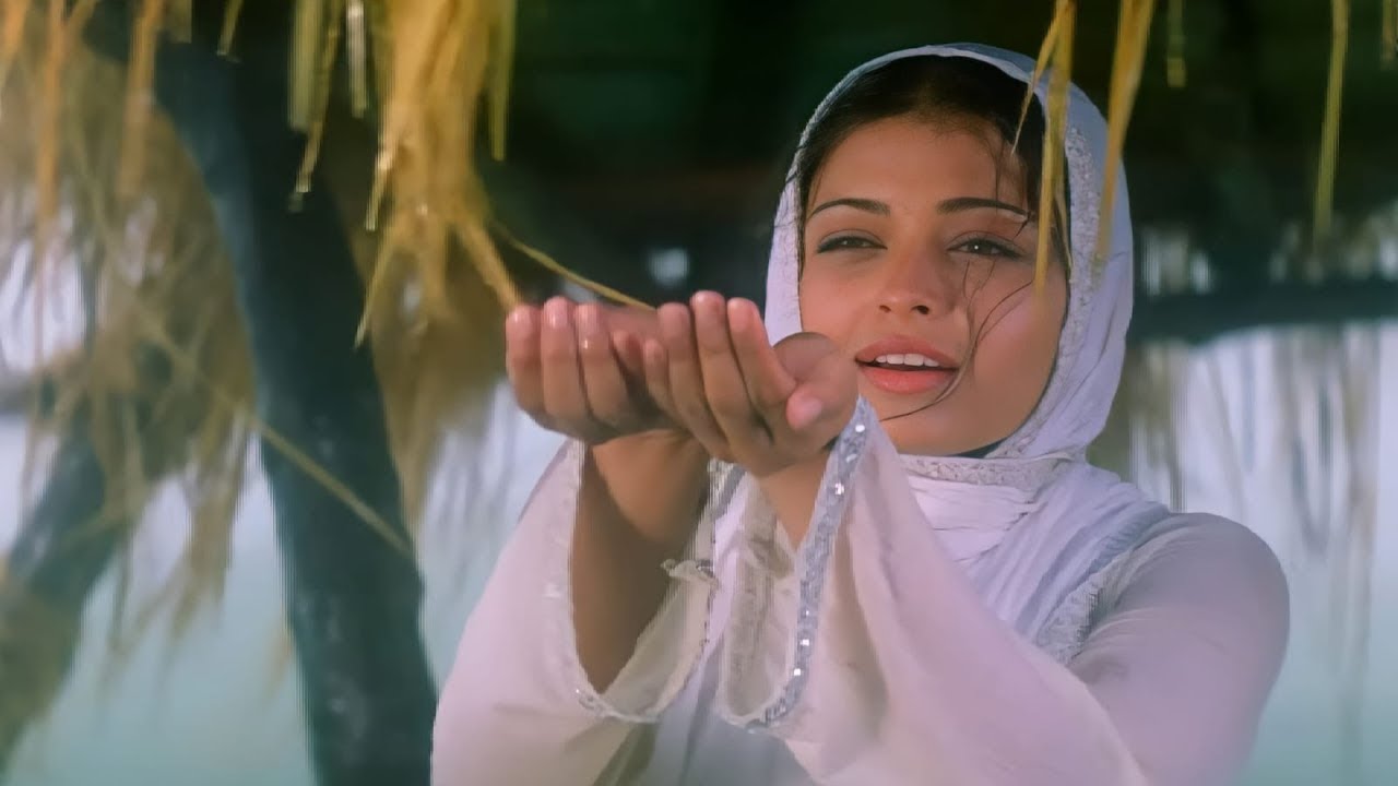 Saawan Ne Aaj Toh Mujhko Bhigo Diya  Taal Se Taal Mila  Taal  Alka Yagnik  Udit Narayan