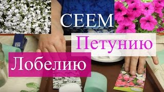 Сеем лобелию и петунию. Тонкости успешной посадки.(Посадка лобелии и петунии на рассаду. Тонкости посадки на рассаду этих цветов-летников. Сеять будем не в..., 2016-02-26T22:04:16.000Z)