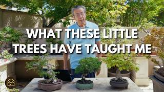 Bonsai Teaches You The Secret to a Better Life