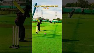 Pressure Build! Important Dot Ball! 😱🏏🔥#cricket #seele #shorts #viral #cricketlover #cricketshorts