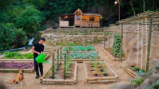 Caring for My Vegetable Garden | Building Trellises and Fertilizing the Farm