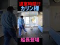 凶暴猫カリン様もびびる船長登場‼️退室時間 18:00 #shorts