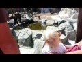 Киевсий зоопарк