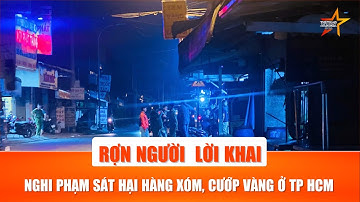 Rợn người lời khai của nghi phạm túng thiếu sát hại hàng xóm rồi cướp vàng ở TP HCM