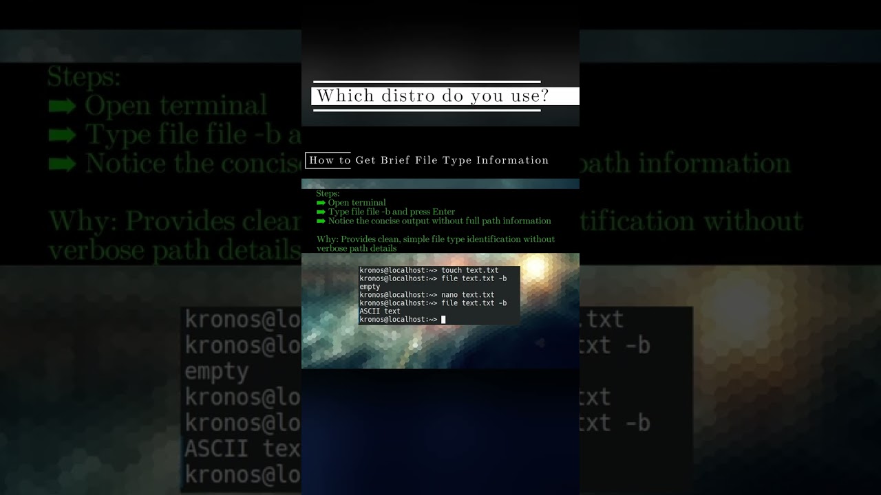 🐧 LinuxCLI 🐧 How to Get Brief File Type Information 🐧 