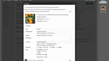 Adding Images in Wordpress.mov