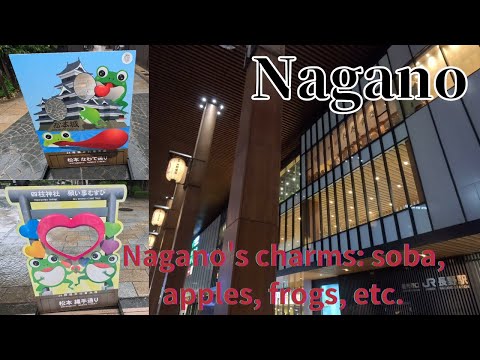 【Japan】【Nagano】Nagano night after the rain stopped